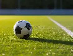 融建通,深圳,非融资担保,db体育入口,db体育官网,db体育app下载,db体育平台官网