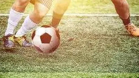 db体育平台官网 产品 140934 pp2