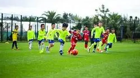 db体育平台官网 资讯 112222 40t