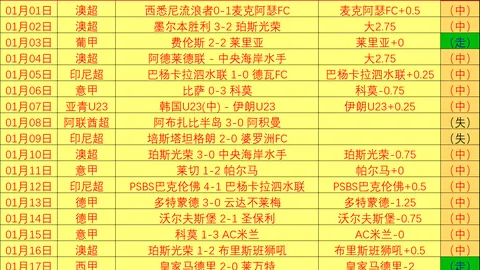 維羅納轉會費超過500萬歐元引米蘭及亞特蘭大疑慮