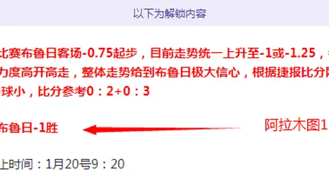 “太阳被判失误助力森林狼逆转，阿伦遭遇争议判罚引争议”
